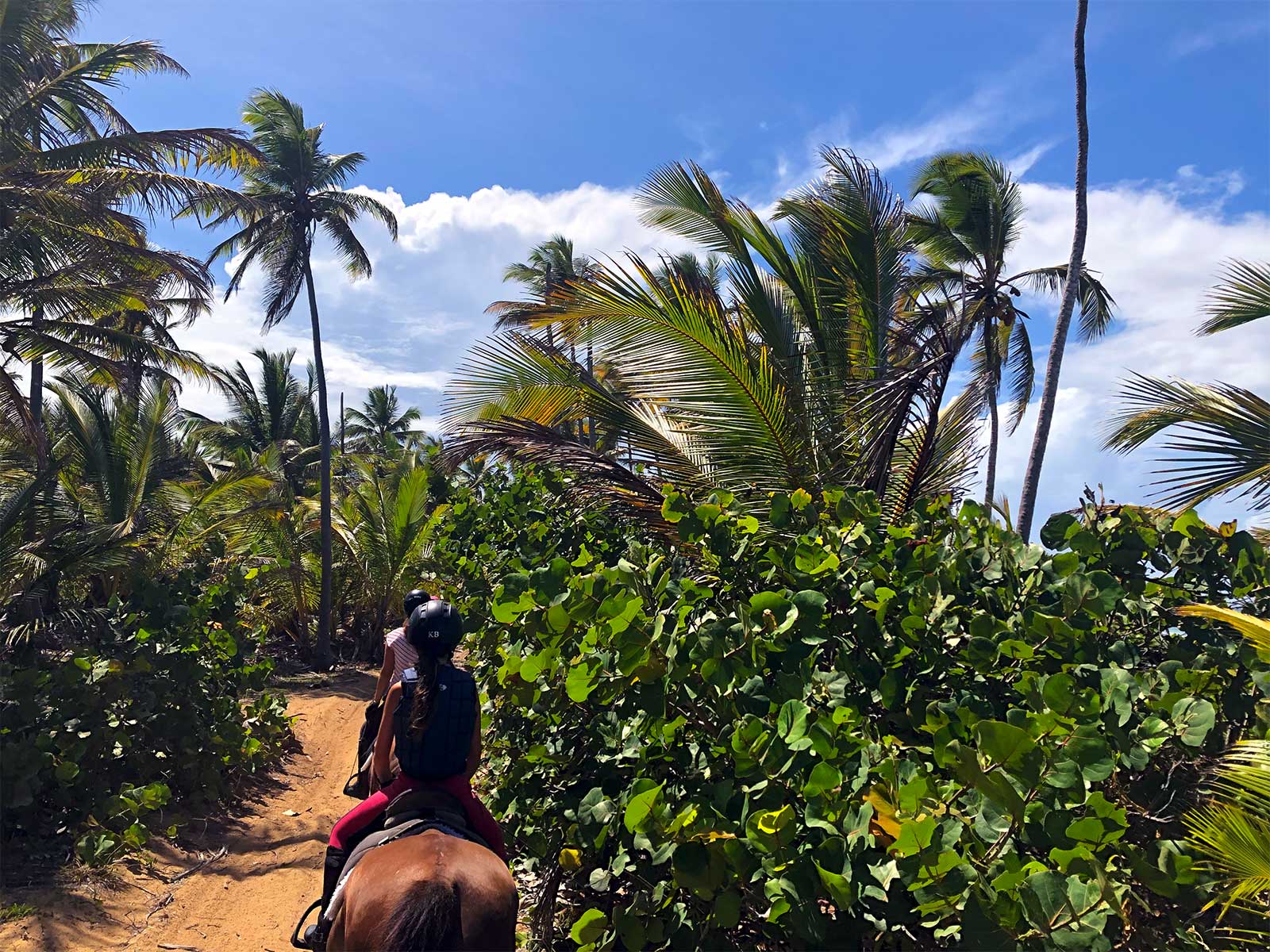 gabis-ranch-karibiktrail-img5