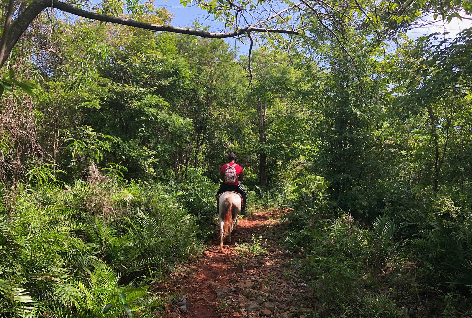 gabis-ranch-karibiktrail-samana-img2