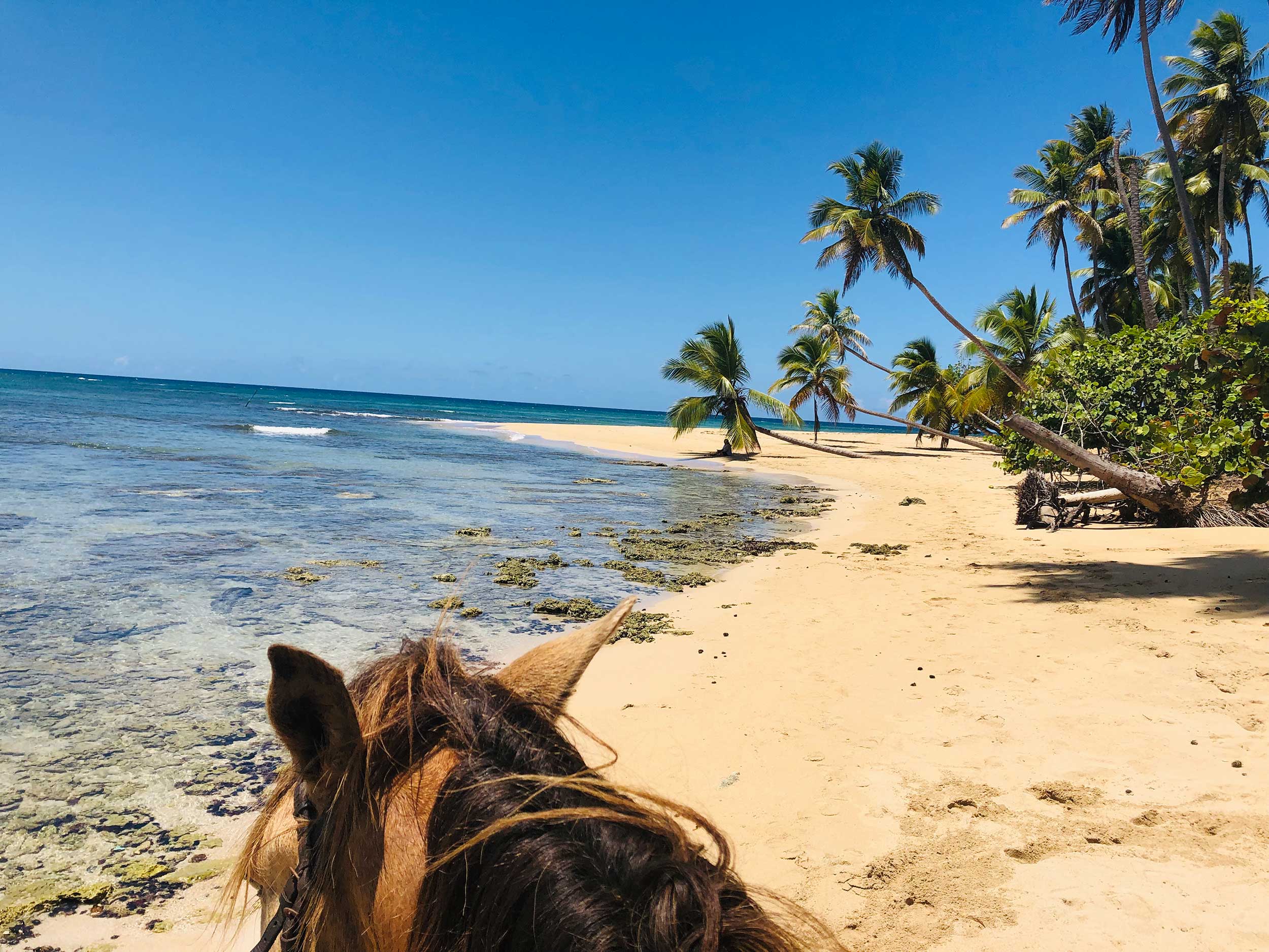 gabis-ranch-reiten-am-strand