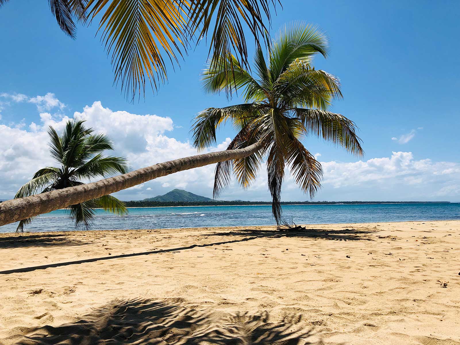 playa-limon