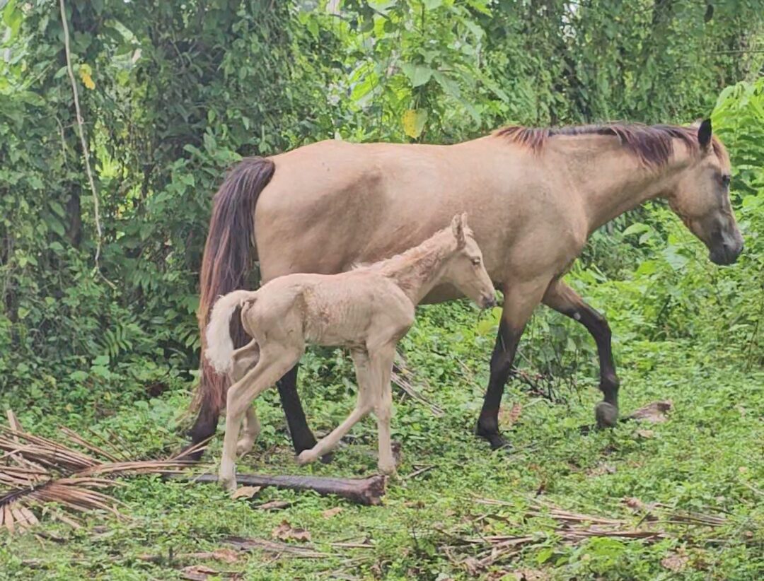 Du betrachtest gerade Es ist ein Junge!
