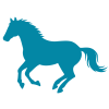 icon-pferd-petrol